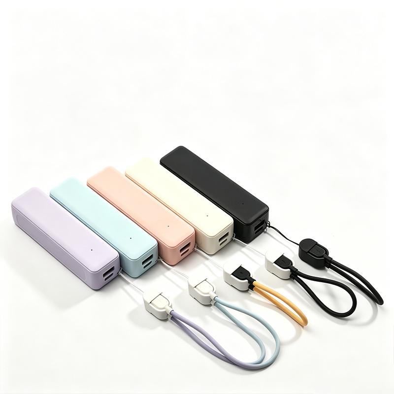 กล่องแบตเตอรี่พาวเวอร์แบงค์ 21 - Electronics Project Kit บทวิจารณ์และราคา